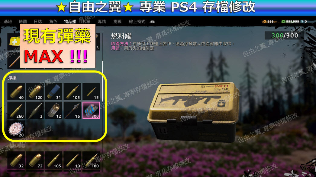 【PS4】【PS5】極地戰嚎 破曉 -專業存檔修改 極地 戰嚎 戰壕 戰豪 破曉 Far Cry New Dawn 修改 修改器:圖片 3